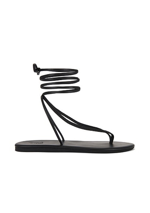 Ancient Greek Sandals Sfendoni Sandal in Black - Black. Size 37 (also in 36, 38, 39, 40).