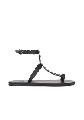 Ancient Greek Sandals Talos Sandal in Black & Anthracite - Black. Size 37 (also in 38, 39, 40, 41).