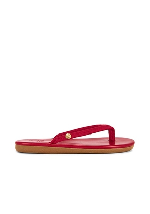 Ancient Greek Sandals Saionara Rope Sandal in Red - Red. Size 37 (also in 36, 38, 39, 40, 41).