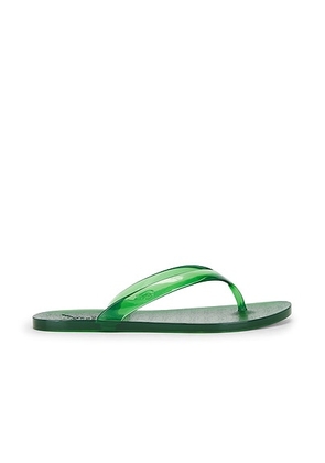 Ancient Greek Sandals Jelly Flip Flop in Green - Green. Size 41 (also in ).