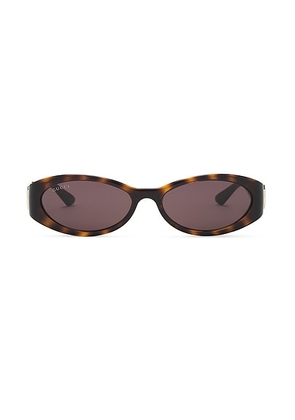 Gucci Hailey Oval Sunglasses in Havana - Brown. Size all.