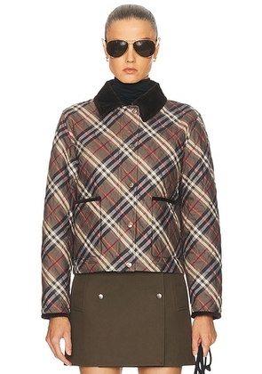 Burberry Cropped Quilted Jacket in Moss Brown & Ink Grey - Charcoal. Size L (also in XS).