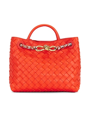Bottega Veneta Small Andiamo Bag in Cherry Tomato & Muse Brass - Red. Size all.