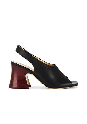 Chloe Janis Sandal in Black - Black. Size 36 (also in 40).