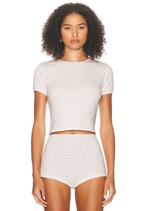 Helsa Pointelle Baby Tee in Barely Pink - Pink. Size S (also in XL).