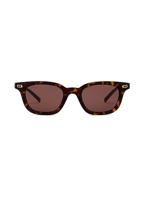 Gucci Round Sunglasses in Havana & Brown - Brown. Size all.