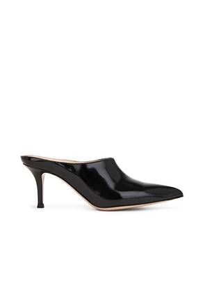 Gianvito Rossi Nuit Mule in Black - Black. Size 36 (also in 36.5, 38, 39, 39.5, 40).