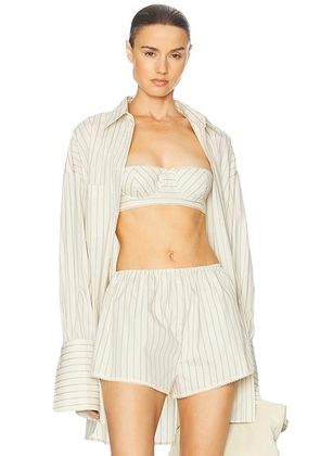 Helsa Pinstripe Poplin Bra in Cream & Black Stripe - Cream. Size M (also in S, XL, XS, XXS).