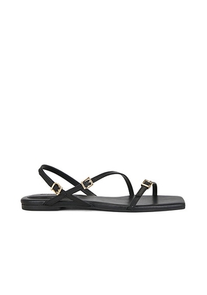 SIMKHAI Carey Leather Strappy Flat Sandal in Black - Black. Size 37 (also in 36, 38, 39, 40).
