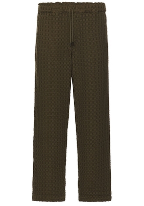 OAS Ayora Waffle Pants in Turtle - Olive. Size L (also in M, S, XL/1X).