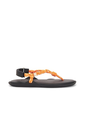 FlÃ²wze Flo Sandal in Orange - Orange. Size 36 (also in ).