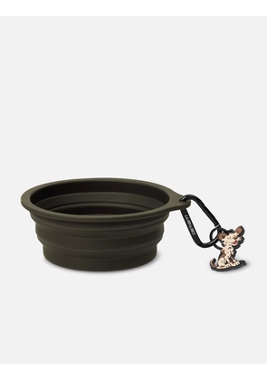 Wild Dog Foldable Bowl