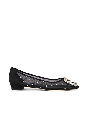Manolo Blahnik Hangisi Flat in Yoth & Black - Black. Size 36 (also in 36.5, 37, 37.5, 38, 38.5, 39, 39.5, 40, 41).