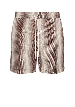 OAS Merlot Echo Net Shorts in Red - Burgundy. Size L (also in M, S).