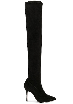 Manolo Blahnik Pascalarehi 105 Suede Boot in Black - Black. Size 37 (also in 36, 37.5, 38, 38.5).
