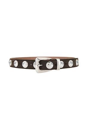 KHAITE Benny 30mm Stud Belt in Ebano - Brown. Size 70 (also in 75).