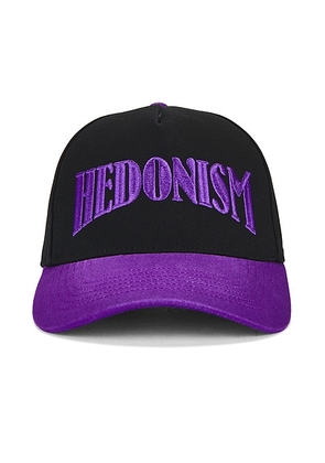 Midnight Rodeo Hedonism Trucker Hat in Black & Purple - Black,Purple. Size all.
