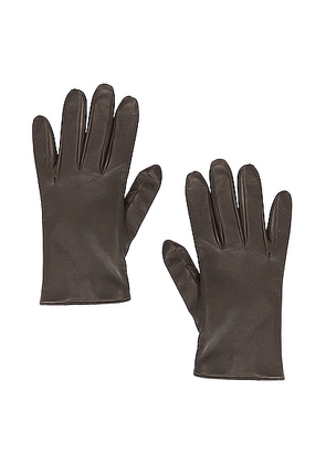Saint Laurent Leather Gloves in Khaki & Gold - Olive. Size 8 (also in 7.5).