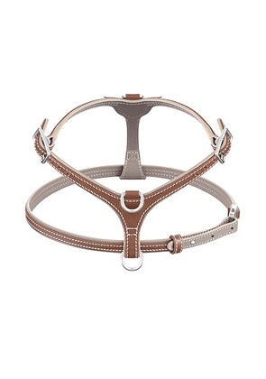 PAGERIE The Petite Extra Small Harness in Walnut - Brown. Size all.