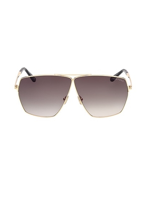 TOM FORD Stella Sunglasses in Shiny Yellow Gold & Shiny Black - Metallic Gold. Size all.