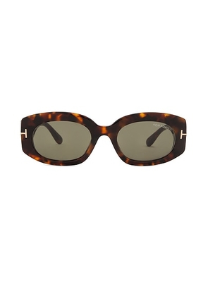 TOM FORD Cielle Sunglasses in Shiny Dark Havana & Green - Dark Green. Size all.