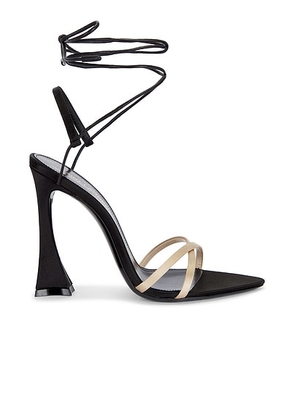 Saint Laurent Gippy Sandal in Faint Pink & Nero - Black. Size 36 (also in 37, 37.5, 38, 38.5, 39, 39.5, 40).