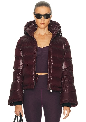 Perfect Moment Polar Flare Ski Jacket in Burgundy - Burgundy. Size L (also in M, S, XL, XS).