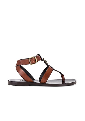 Saint Laurent Hardy Flat Sandal in Bruciato in Caramel - Brown. Size 36.5 (also in 36, 37, 37.5, 42).