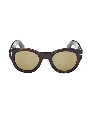 TOM FORD Lucinda Sunglasses in Shiny Dark Havana & Army Green - Brown. Size all.