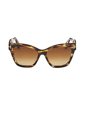 TOM FORD Elvira Sunglasses in Shiny Brown Striped Honey & Gradient Brown - Brown. Size all.