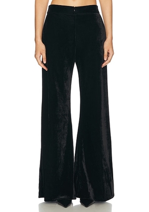 PatBO Velvet Wide Leg Pant in Black - Black. Size 0 (also in 2, 4, 8).