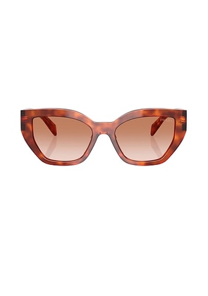 Prada Cat Eye Sunglasses in Cognac Tortoise - Brown. Size all.