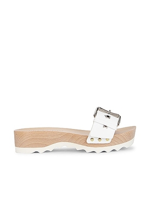 Stella McCartney Elyse Alter Sporty Sandal in White - White. Size 40 (also in ).