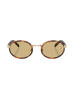 Prada Round Sunglasses in Root Tortoise - Brown. Size all.