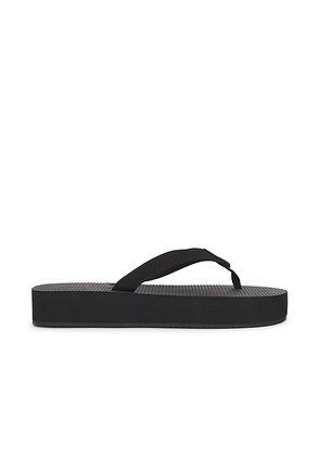 The Row Dune Flatform Sandal in Black - Black. Size 40 (also in 36, 37, 38, 39, 42).