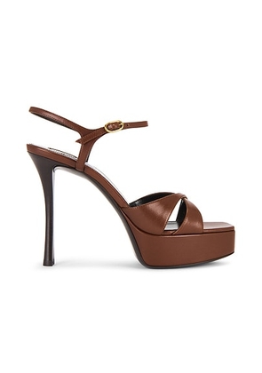 Saint Laurent Debbie Sandal in Aesthetic Brown - Brown. Size 36 (also in 36.5, 37, 37.5, 38, 38.5, 39, 39.5, 40, 41, 42).