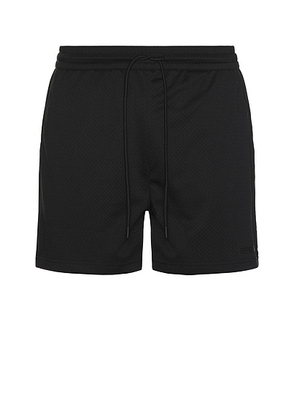 REPRESENT Mesh Shorts in Black - Black. Size M (also in ).