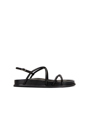 Jeffrey Campbell La Empress Sandal in Black. Size 8. Also in 7.