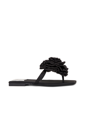 Jeffrey Campbell Perennial Sandal in Black. Size 7.5. Also in 6.