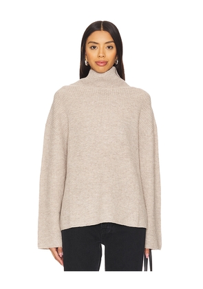SAMSOE SAMSOE Sazlata Turtleneck in Tan. Size M. Also in XS.