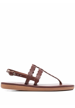Ancient Greek Sandals Dryad leather strap sandals - Brown