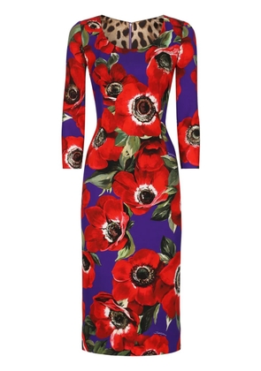 Dolce & Gabbana poppy-print round-neck midi dress - Purple