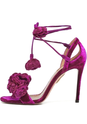 Aquazzura pre-owned 100mm velvet sandals - Pink
