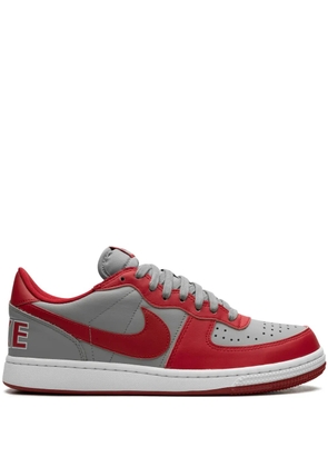 Nike Terminator leather sneakers - Grey