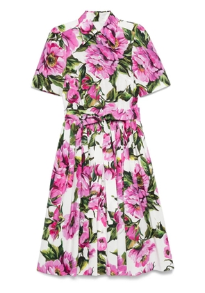 Dolce & Gabbana peonie-print cotton midi dress - Pink