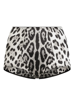 Dolce & Gabbana leopard-print culotte briefs - Grey