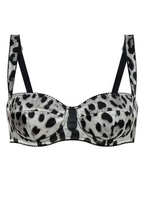 Dolce & Gabbana leopard-print balconette bra - Grey