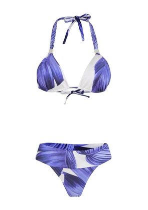 Brigitte leaf-print bikini - Blue