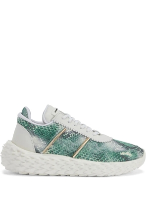 Giuseppe Zanotti Urchin trainers - Green