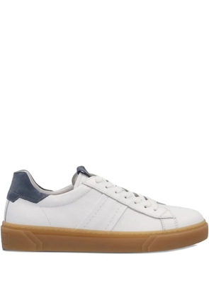 NERO GIARDINI leather sneakers - White